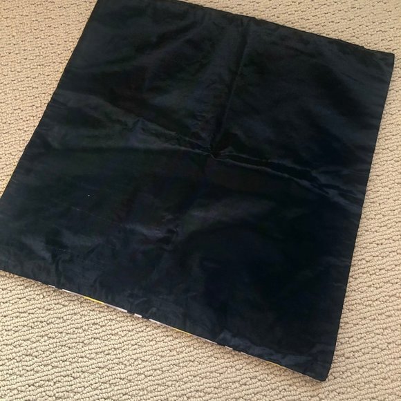 🎀SOLD🎀 NWOT Accent pillow cases - Picture 2 of 3